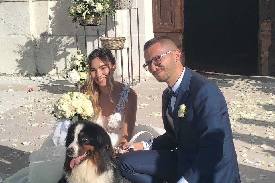 JL-wedding-dog-sitter