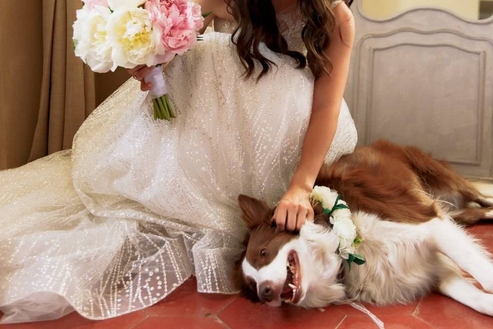 JL-wedding-dog-sitter