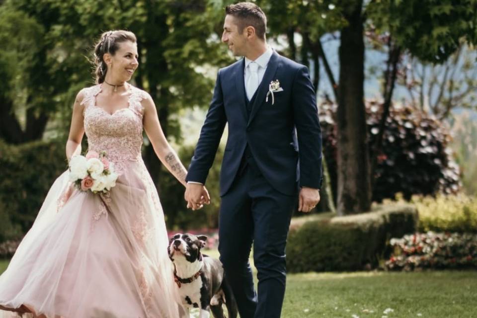 Wedding-dog