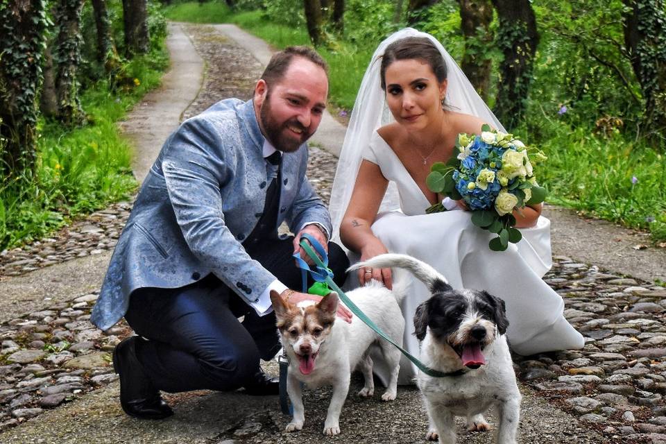 JL Wedding Dog Sitter