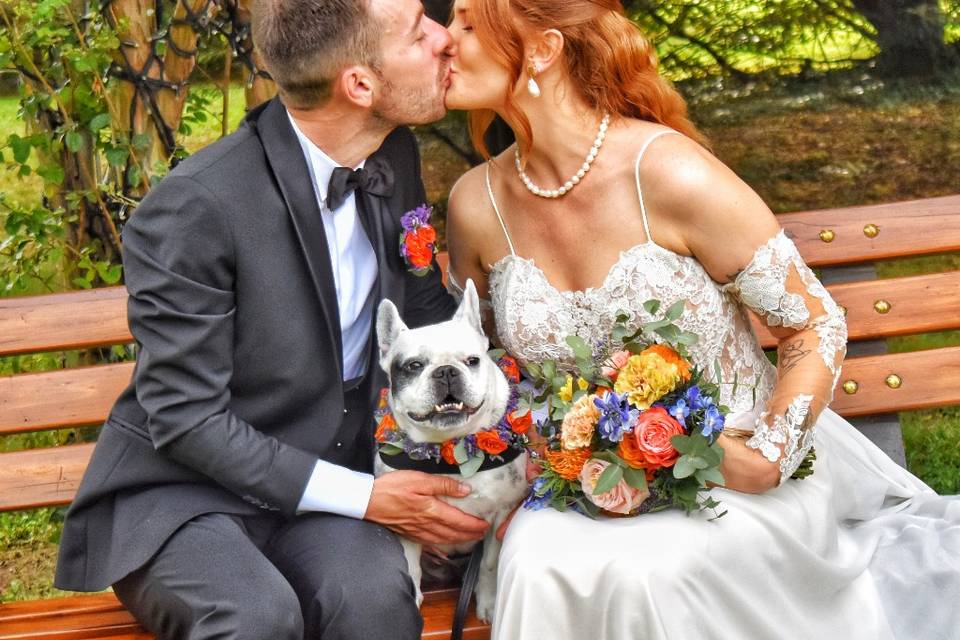 Wedding-dog