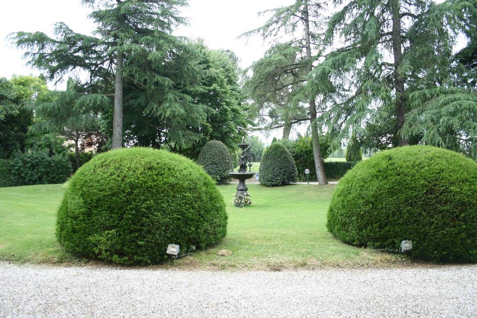 Giardino