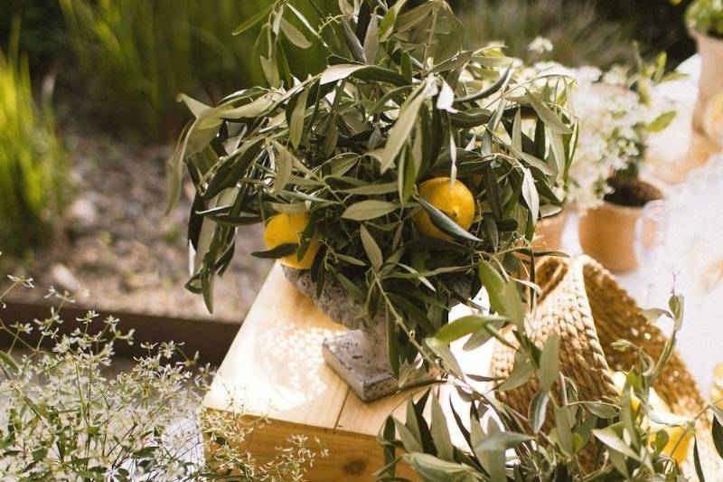 Wedding scopello