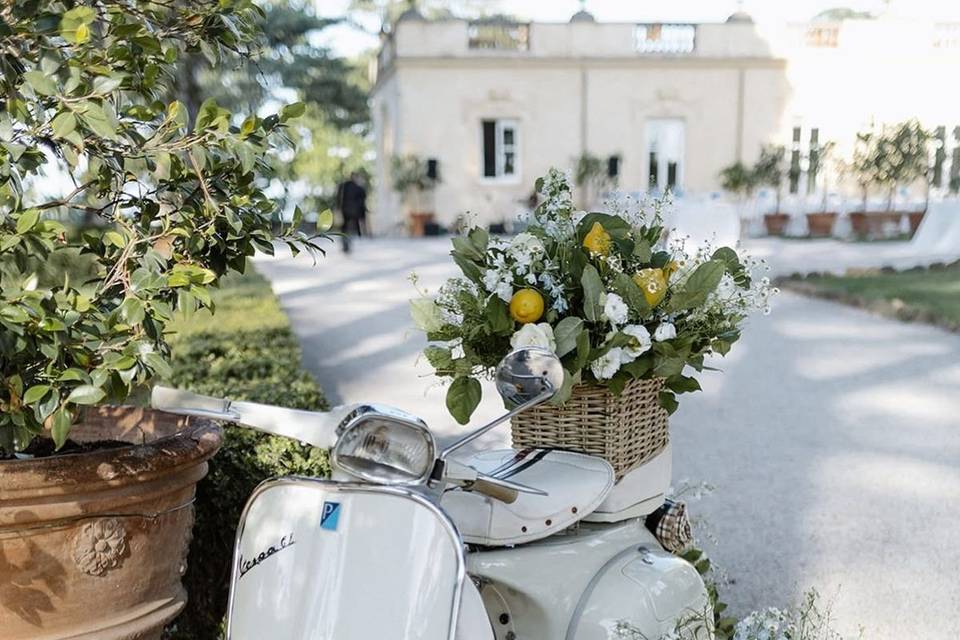 Wedding scopello