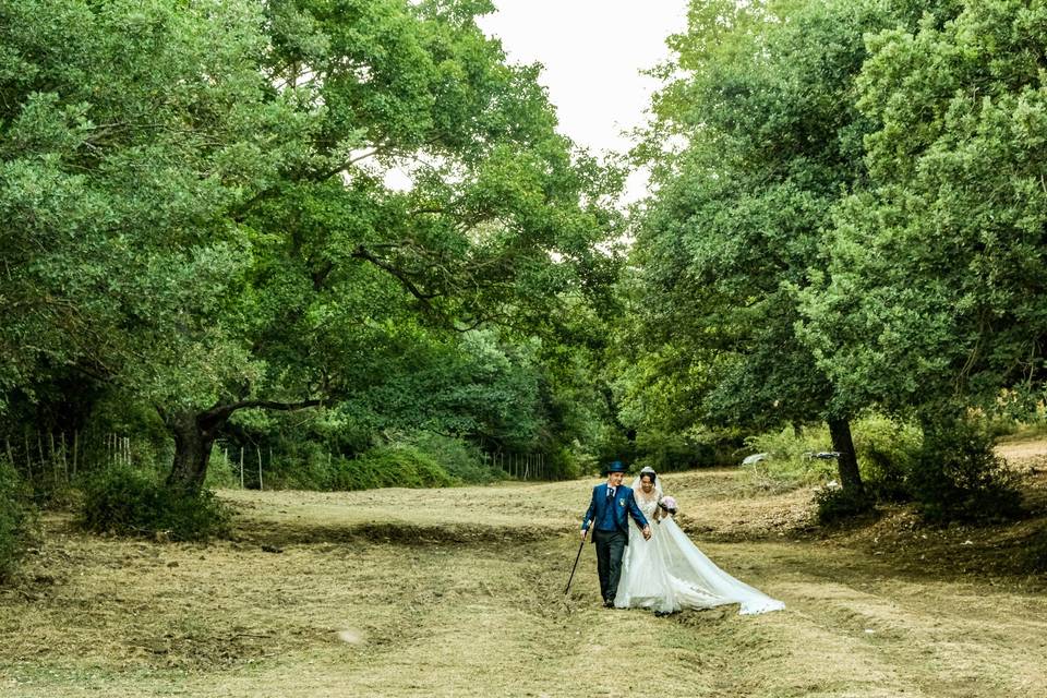 Vincenzo Pizzuto Fotografo