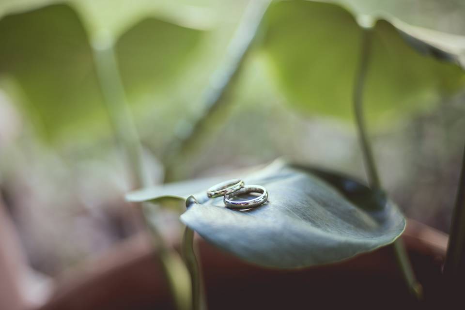 Preparazione sposa