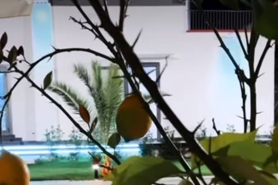 Giardino