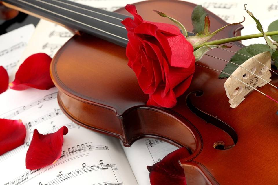 Violino e rose rosse