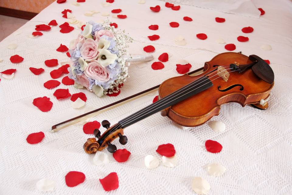Il Canto del Violino