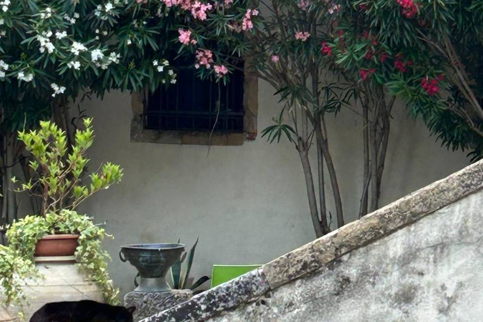 Villa Traverso Pedrina