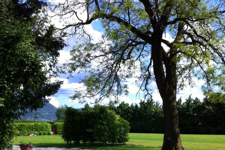 Villa Traverso Pedrina