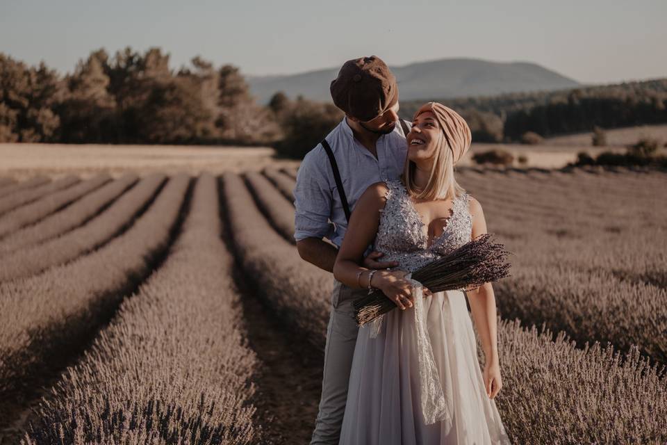 Provence Lavender