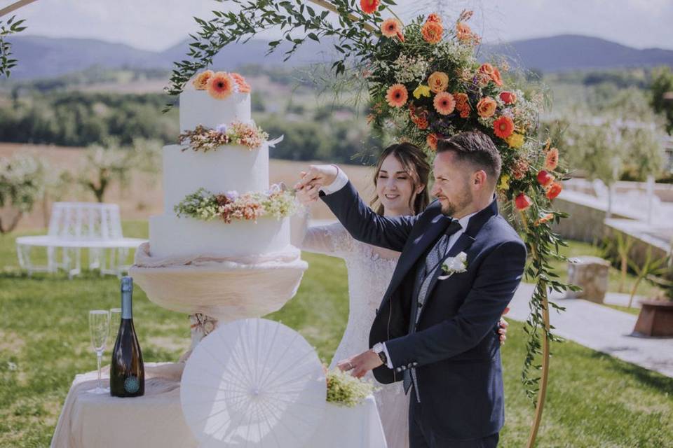 Taglio della torta sul prato