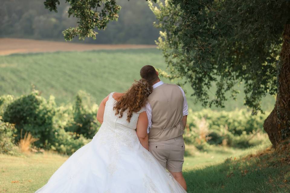 Vista sul vigneto