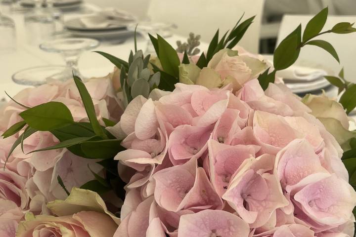 Rose e ortensie