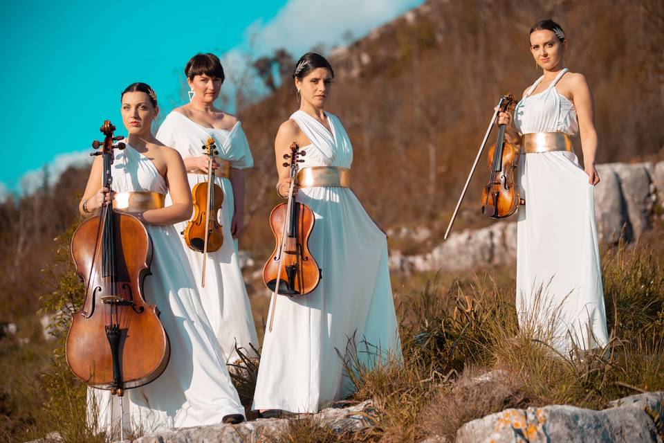 Viola stringquartet - olympian