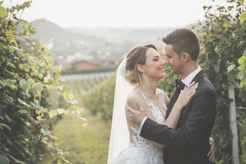 Love in vineyards