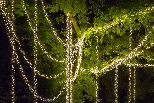 Illuminazione matrimonio