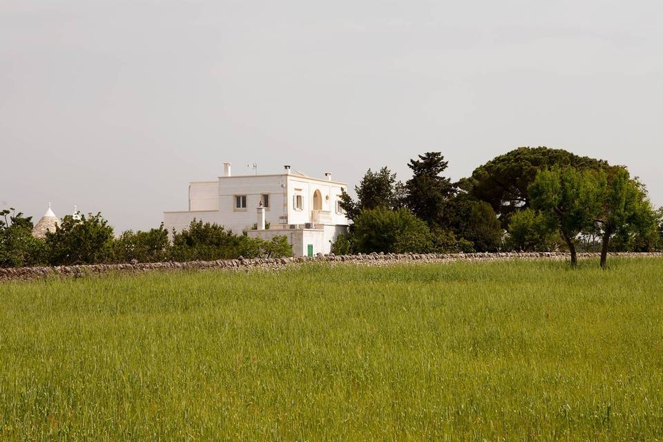 Masseria Camarda