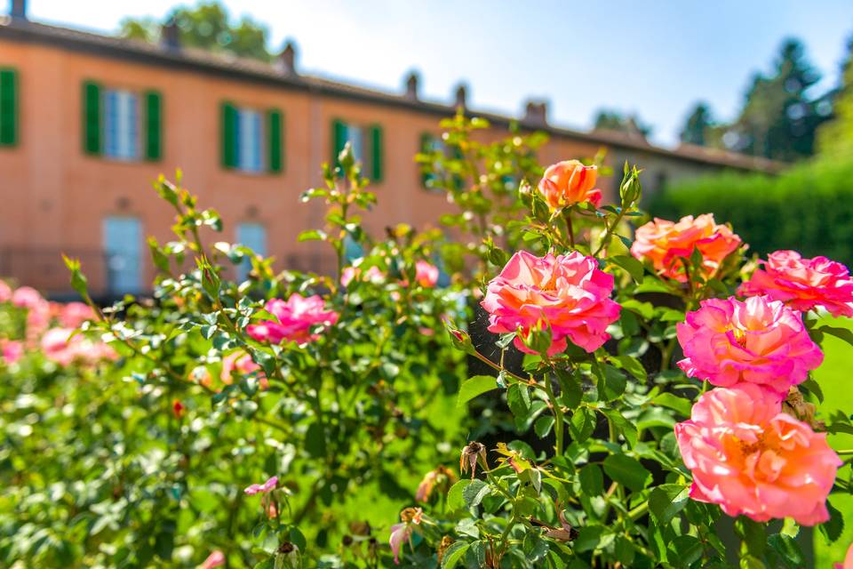 Il giardino ludico