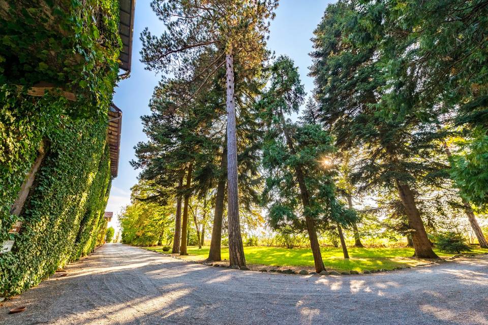 Il romantico viale d'ingresso