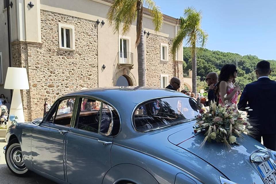 Le nostre auto