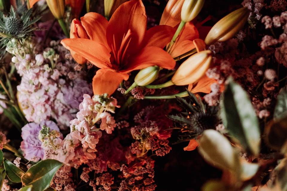 Fiori