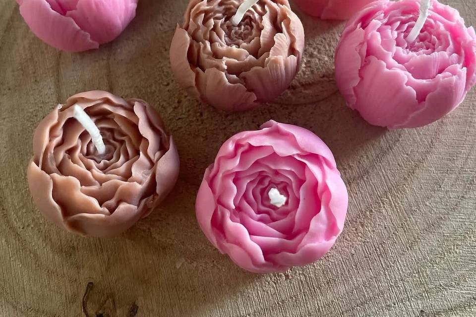 Mini peonie