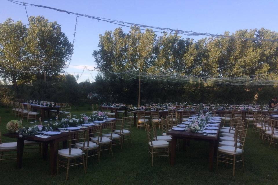 Criscione Catering