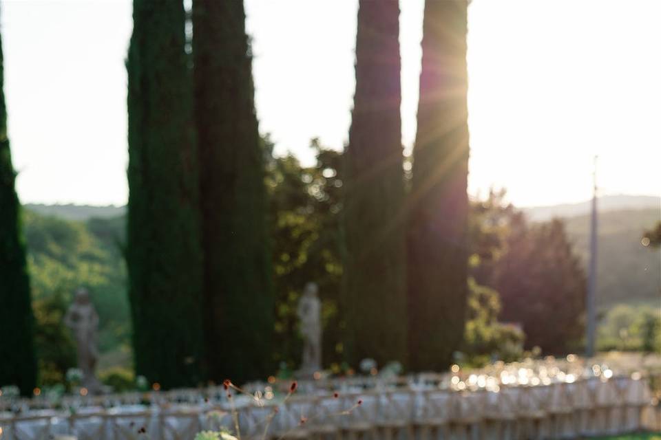 Fiori locali