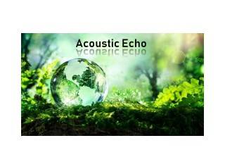 Acoustic Echo