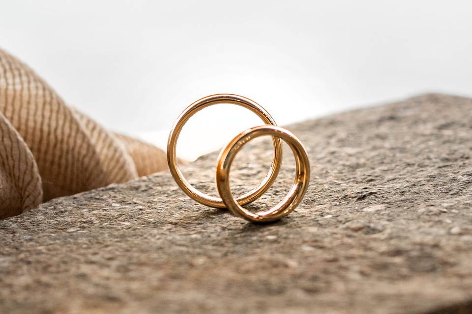 Detail_Fronte Anelli d_Oro