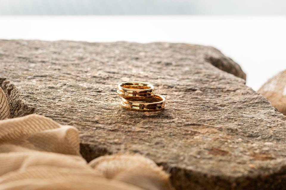 Detail_quarta Anelli d_Oro