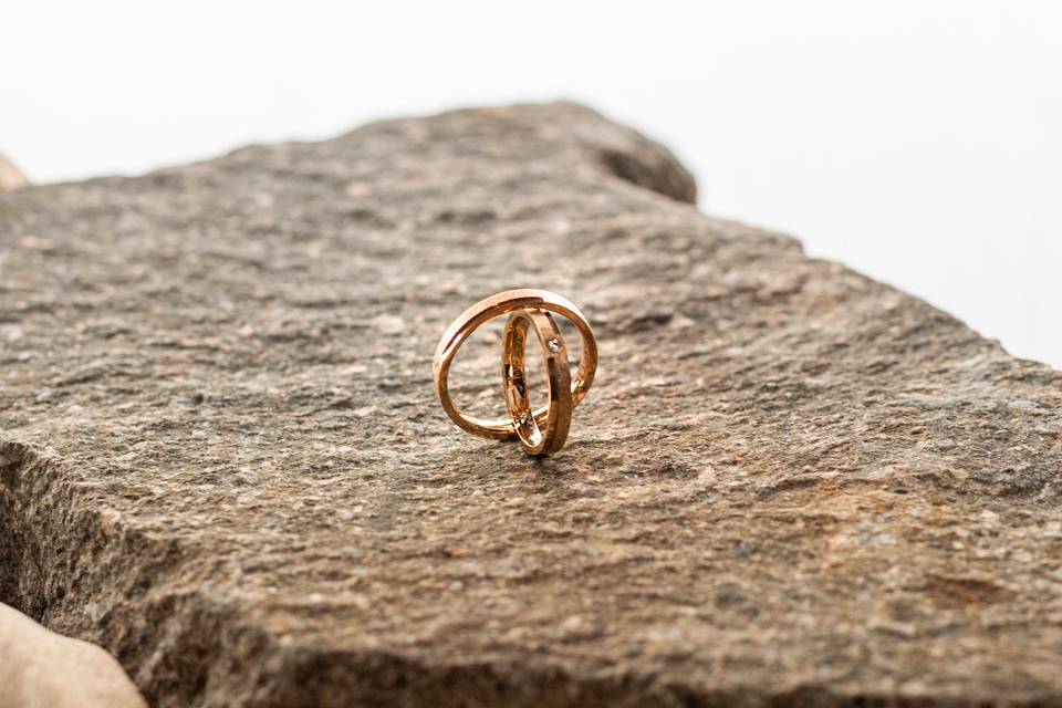 Detail_Secondo Anelli d_Oro