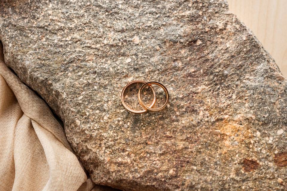 Detail_terza Anelli d_Oro