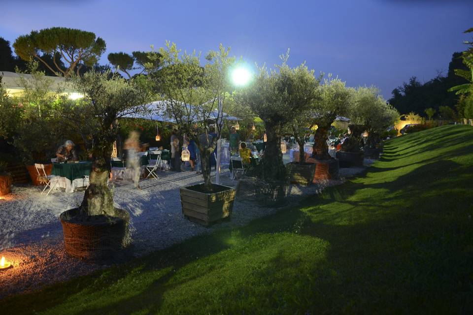 Viale degli ulivi di notte