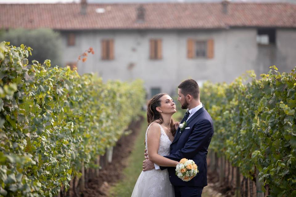 Love in vineyard