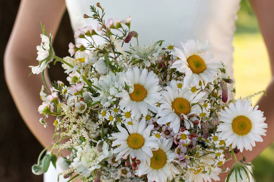 Un bouquet di margherite