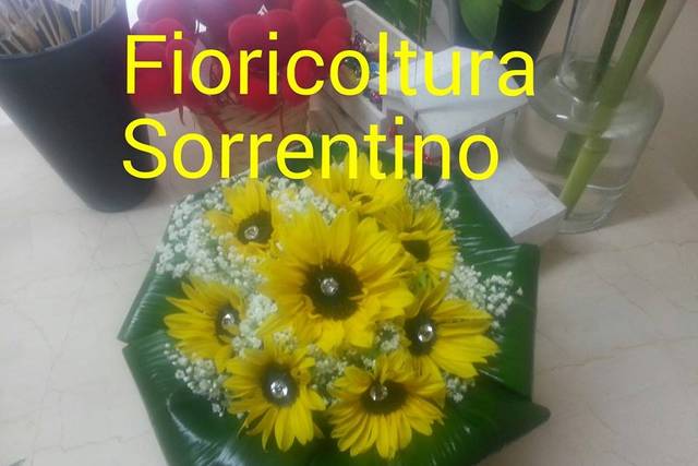 Fiori a Domicilio a Cagliari  Fioricoltura Sorrentino - Consenga in  giornata