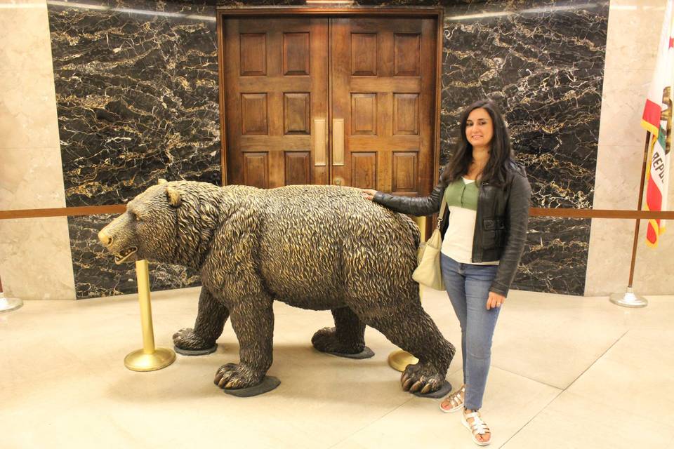 L'orso, simbolo California