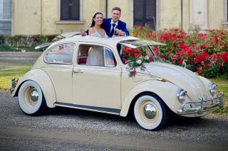 The Wedding Beetle