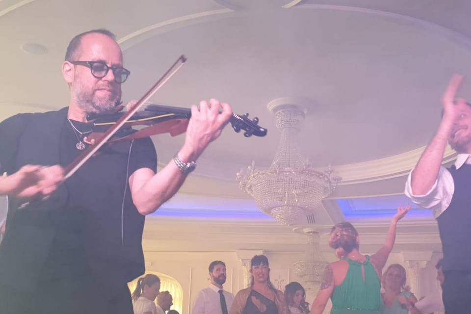 Lelepianobar, violino live