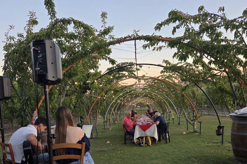 Duo chitarra e voce