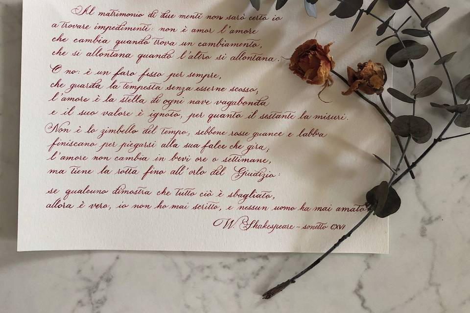 Dedica 2
