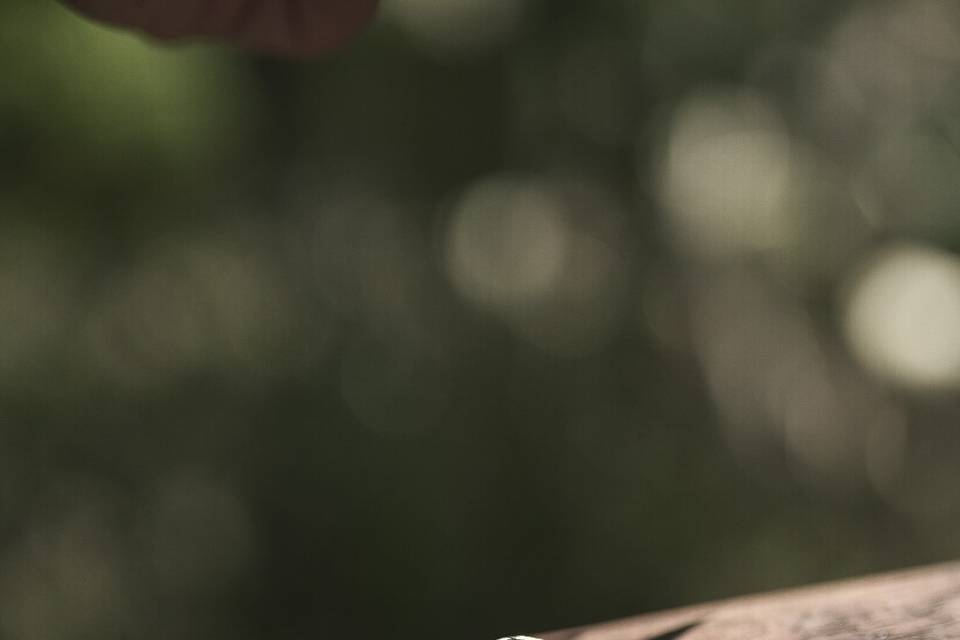 Foto fedi