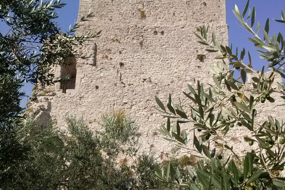 Torre di Cicerone