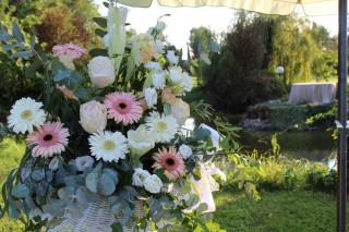 Calycantus Piante e Fiori
