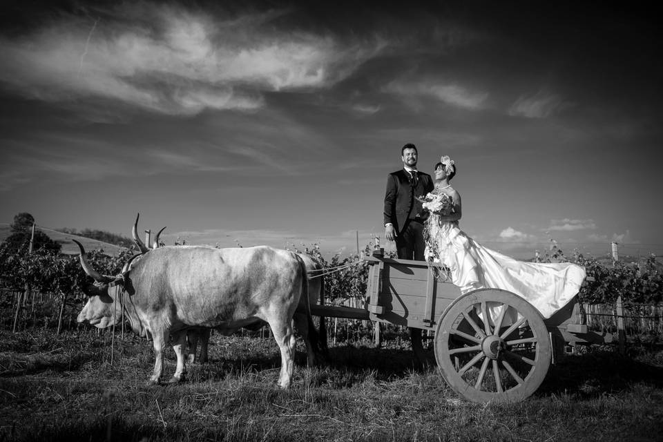 Wedding in maremma