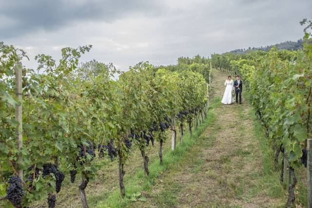 Sposi in vigna