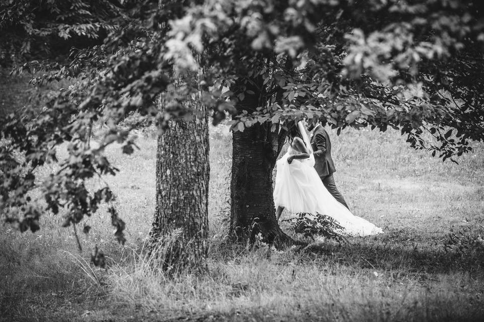 Gli sposi nei boschi